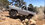 IMG_4696.jpeg