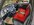 image000002.jpeg