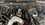 IMG_6504.jpeg IMG_6504.jpeg