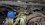 IMG_6502.jpeg IMG_6502.jpeg