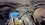 IMG_6501.jpeg IMG_6501.jpeg