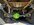 IMG_3588.jpeg
