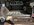 IMG_3590.jpeg
