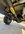 IMG_1921.jpeg