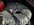 IMG_3619.jpeg