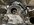 IMG_3223.jpeg