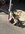 IMG_5381.jpeg