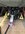 IMG_5387.jpeg