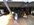 IMG_5388.jpeg
