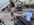IMG_6963.jpeg
