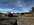 IMG_3643.jpeg