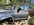 IMG_8366.jpeg