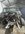 IMG_6871.jpeg