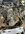 IMG_6899.jpeg