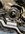 IMG_6924.jpeg