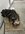 IMG_6926.jpeg