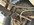 IMG_0413.jpeg