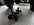 IMG_3647.jpeg