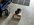 IMG_3650.jpeg