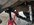 IMG_3651.jpeg