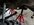 IMG_3652.jpeg
