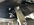 IMG_3655.jpeg