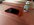IMG_3663.jpeg