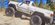IMG_5524.jpeg