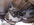 1741204832952.png