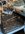 IMG_1524.jpeg