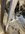 IMG_9770.jpeg