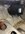IMG_9763.jpeg