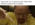1741459757568.png