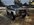 IMG_1865.jpeg