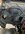 IMG_6876.jpeg
