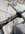 IMG_6878.jpeg