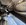 IMG_1230.jpeg