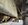 IMG_1231.jpeg