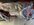 IMG_1967.jpeg
