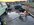 IMG_6999.jpeg