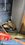 IMG_6655.jpeg