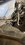 IMG_6656.jpeg
