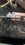 IMG_6657.jpeg