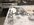 IMG_0029.jpeg