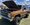 IMG_3105.jpeg