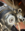 1742160015866.png