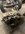 IMG_9790.jpeg