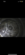 IMG_1704.PNG