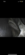 IMG_1706.PNG