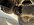 IMG_5569.jpeg